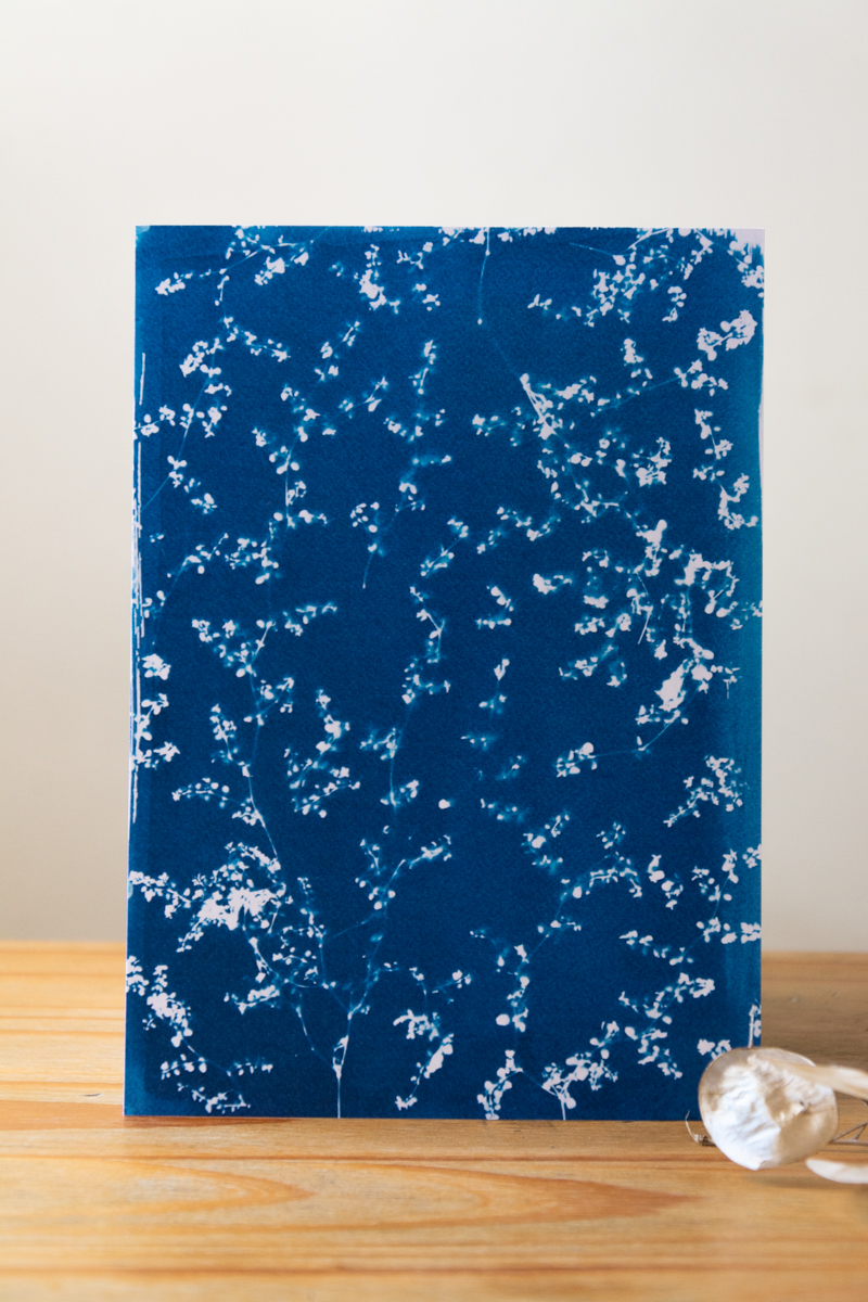 Print - Textura botánica