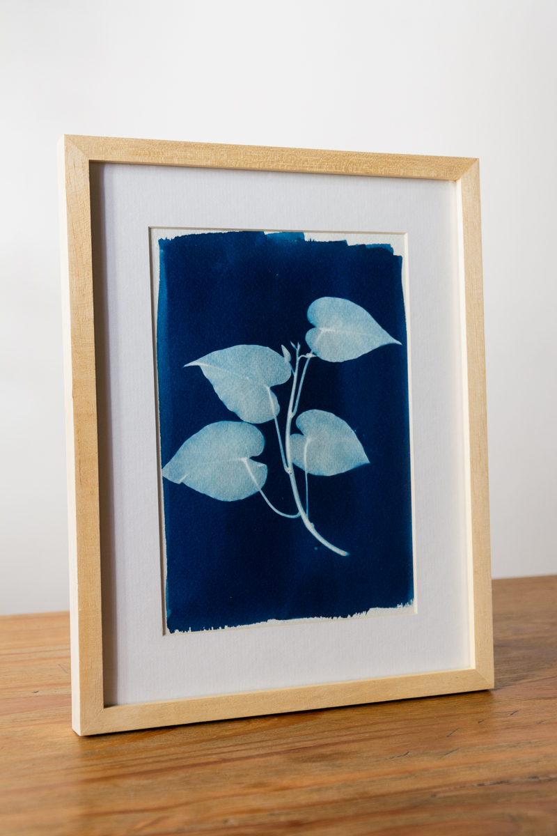 Cuadro original enmarcado #1